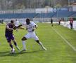 FC Botoșani - FC Argeș, etapa 3 play-out