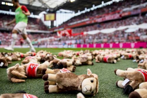 Jucăriile plasate pe teren de către FC Koln
