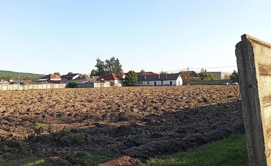 Stadionul pe care Gigi Becali juca fotbal în campania electorală a fost arat pentru a se cultiva porumb
