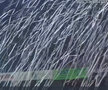 U Cluj - Rapid, imagini înainte de meci