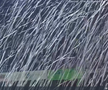 U Cluj - Rapid, imagini înainte de meci