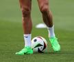 Cristiano Ronaldo și-a început pregătirea de Euro / Foto: Imago