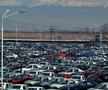 Colecția Dacia, diverse