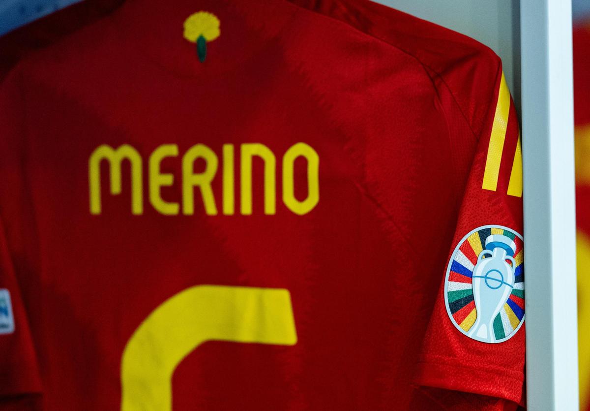 Imagini înainte de Spania - Franța