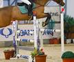 Daria Copos echitație concursuri, fiica lui George Copos