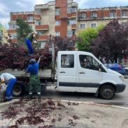 Dezastru în Mioveni, după furtună/ foto: Facebook @Aurel Costache