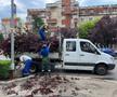 Dezastru în Mioveni, după furtună/ foto: Facebook @Aurel Costache