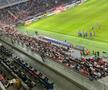 Numărul OFICIAL al spectatorilor prezenți în Ghencea la FCSB - Farul