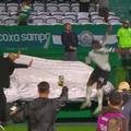 Jacy de la Coritiba a căzut în tunel sărbătorind un gol care apoi i-a fost anulat!