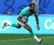 România - Irlanda, Cupa Mondială de Rugby