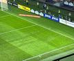 Gazon Ghencea
