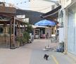 Nicosia - orașul împărțit în două