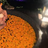 Eda Csoregi (28 de ani) participă la emisiunea „Burlacii: Foc în Paradis”. Foto: Instagram