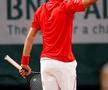 VIDEO + FOTO Novak Djokovic trece de Tsitsipas într-un meci antologic și joacă finala recordurilor cu Rafael Nadal! Victoria 100 la Paris sau anul 2020 fără eșec?