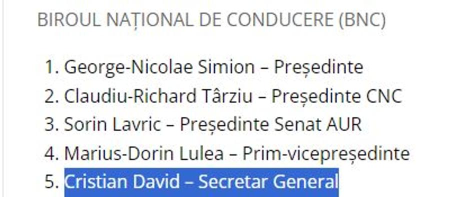 AUR et Patria » Ieri ultrași, azi președinți de partid! Suporterii care fac haos la meciurile naționalei, folosiți în campania electorală a lui George Simion