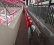 Hermannstadt - FCSB, imagini înaintea partidei de la Sibiu