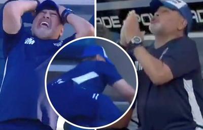 VIDEO Diego Maradona, reacții incredibile pe bancă » A căzut, s-a rugat și a plâns la interviurile de la final: „Nu sunt trădător, nu sunt englez!”
