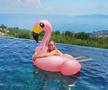 Donna Vekic
