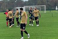 FC Voluntari, incomodată de vreme și arbitru » Tamaș s-a certat cu centralul la pauză
