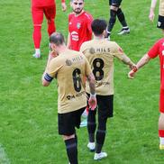 FC Voluntari - Turan (foto: Ionuț Iordache/GSP)