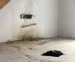 Lângă tribune sistemul de avertizare pentru incendiu este rupt din perete, iar rigipsul este spart