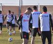 David Miculescu, Joao Paolo, Alexandru Stoian, Mihai Toma, Octavian Popescu