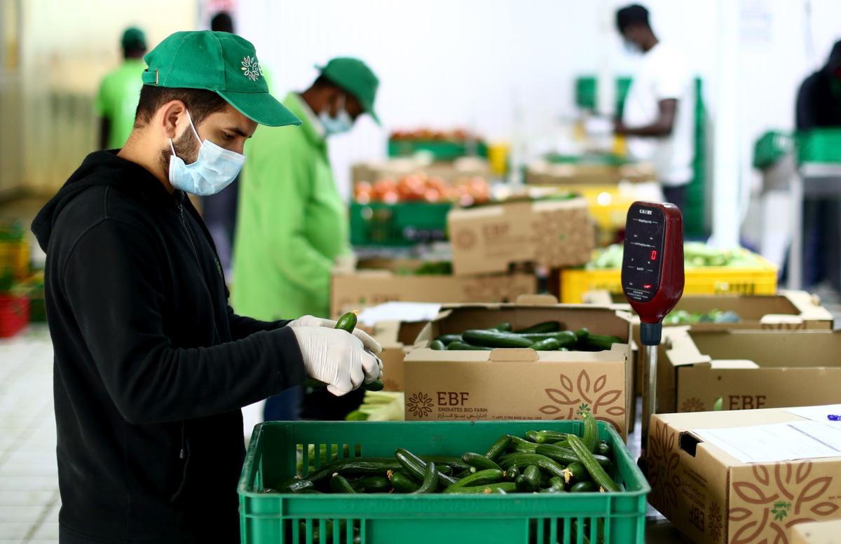 COVID-19. Gică Craioveanu, ultimele noutăți despre situația din Spania: „Pare că de luni așa va fi”