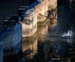 București - Coronavirus