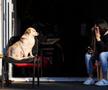 București - Coronavirus