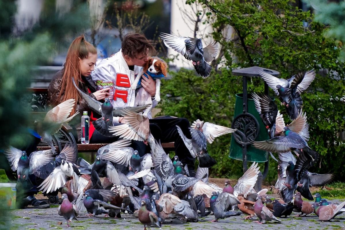 București - Coronavirus