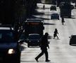 Ce s-a întâmplat pe Autostrada Soarelui de 1 Mai » Poliția i-a așteptat pe bucureșteni la intrarea pe A2
