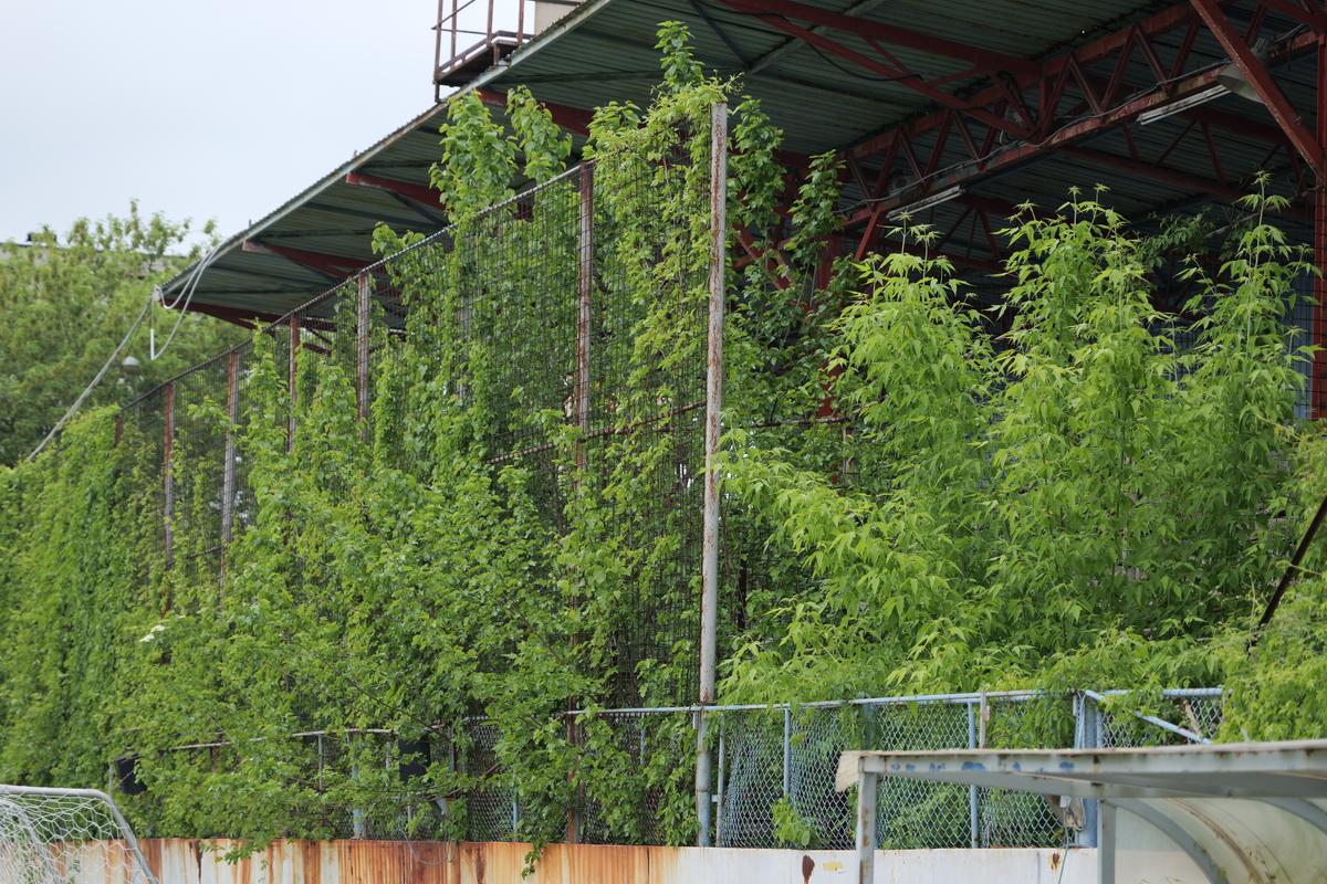 Stadionul-fantomă din România, înghițit de buruieni și rugină » Echipa națională a jucat aici de două ori