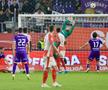 Dinamo - FC Argeș, imagini de meci // FOTO: Ionuț Iordache (GSP.ro)