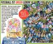 Cotidianul Bild a ales fotografia zilei poza cu festivalul fanilor din Wurzburg