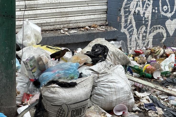 Imagini din Tepito FOTO: Ionuț Iordache (GSP)