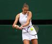 Ashleigh Barty - Karolina Pliskova, finala Wimbledon 2021