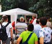 FC Botoșani, prezentare echipament și siglă