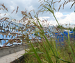 Demolare stadion Farul Constanța, 10 iulie 2023