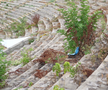 Demolare stadion Farul Constanța, 10 iulie 2023