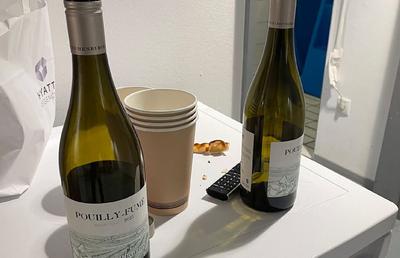Descoperire șocantă: sticle de vin în cabina lui Southgate și bere înainte de meci în vestiarul Angliei