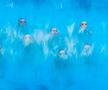 Fantomele din piscină, o fotografie specială la înot sincron