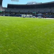 Gazonul de pe Cluj Arena, într-o stare foarte bună după festivalul Untold // foto: facebook @Consiliul Județean Cluj