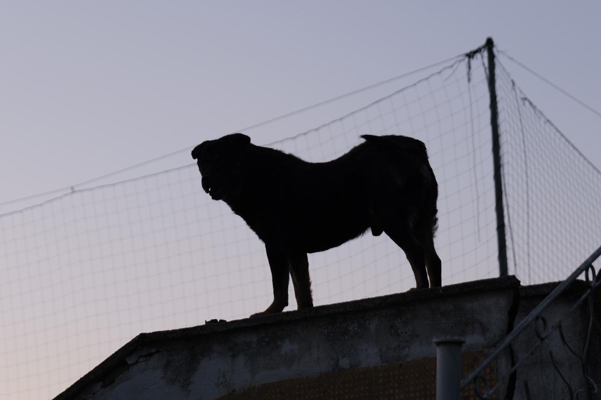Paradoxul din sudul României: de 13 ani fără fotbal la nivel național, însă stadionul de 11.000 de locuri a fost modernizat pentru o echipă din alt oraș