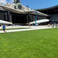 Gazonul de pe Cluj Arena, într-o stare foarte bună după festivalul Untold // foto: facebook @Consiliul Județean Cluj