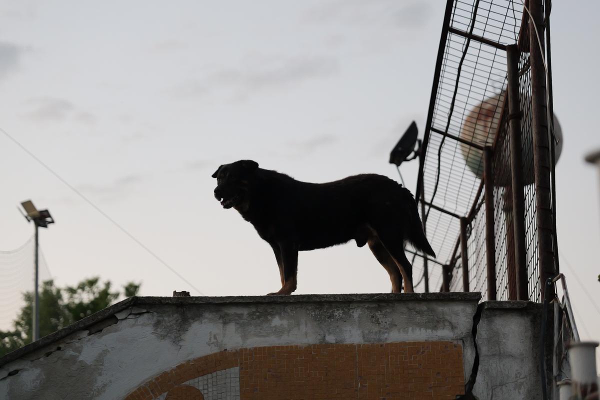 Paradoxul din sudul României: de 13 ani fără fotbal la nivel național, însă stadionul de 11.000 de locuri a fost modernizat pentru o echipă din alt oraș