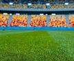 Gazonul de pe Arena Națională / Foto: Nicușor Dan (Facebook)