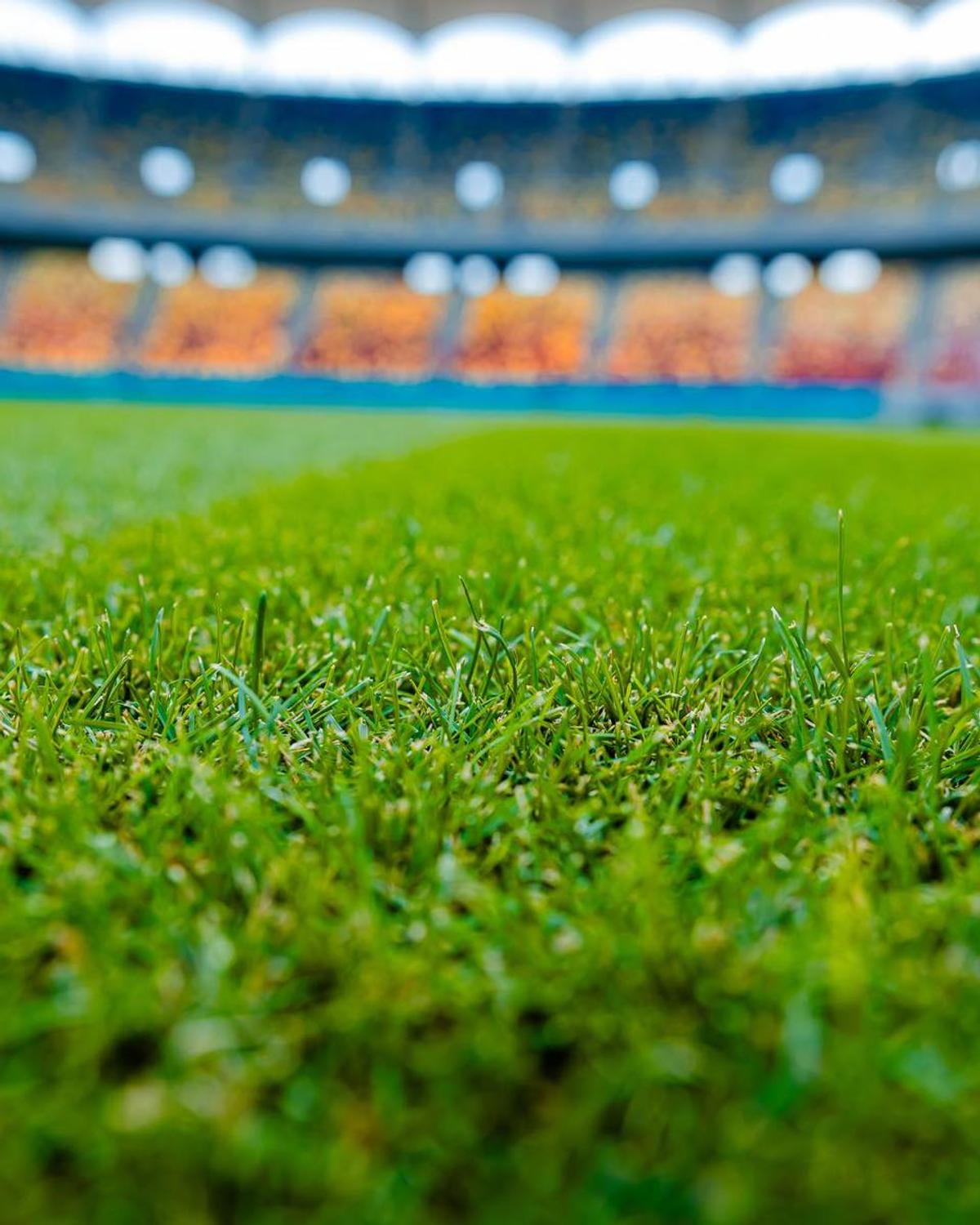 Gazonul de pe Arena Națională