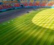 Gazonul de pe Arena Națională / Foto: Nicușor Dan (Facebook)