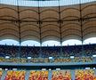 Gazonul de pe Arena Națională / Foto: Nicușor Dan (Facebook)