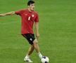 Andrei Nițu a mai cochetat cu prima echipă a lui Dinamo și în 2012 / FOTO: Arhivă Gazeta Sporturilor